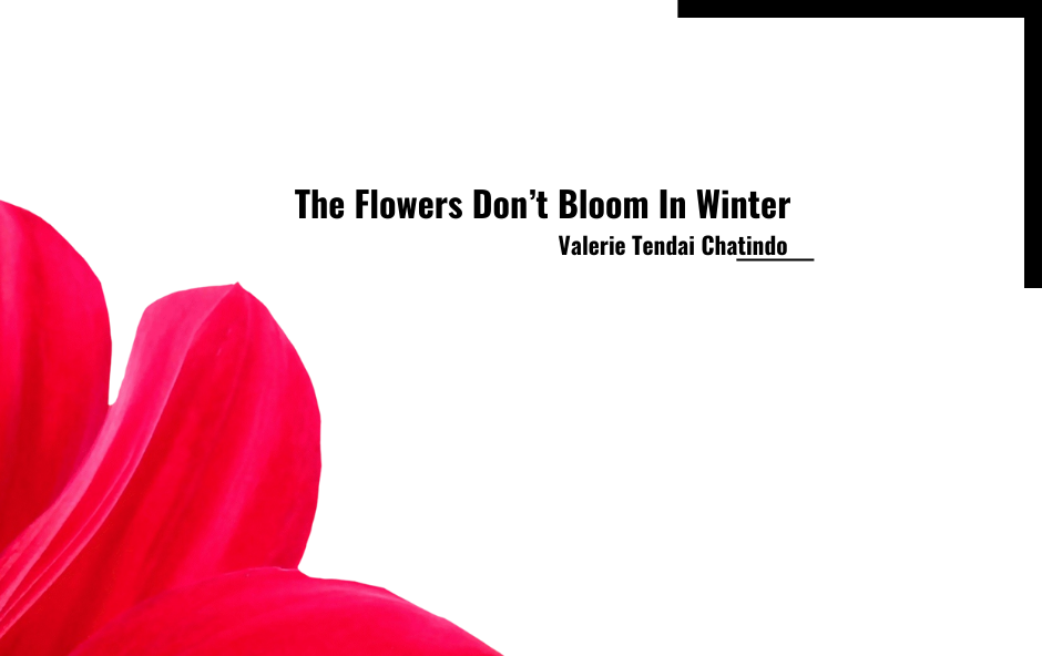 Valerie Chatindo - The Flowers Don't Bloom In Winter - Efiko image